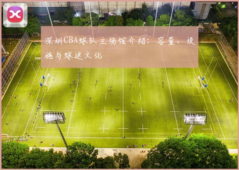 深圳CBA球队主场馆介绍:容量、设施与球迷文化