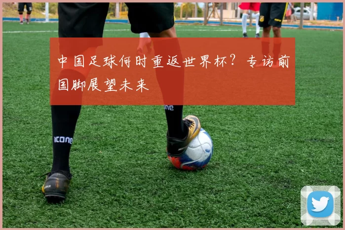 中国足球何时重返世界杯?专访前国脚展望未来