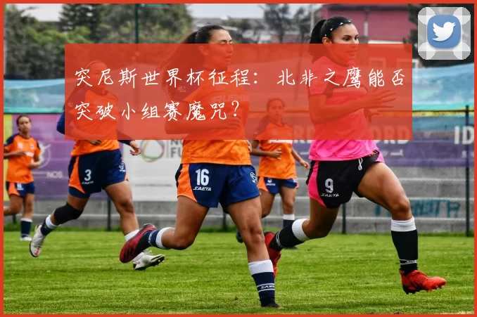 突尼斯世界杯征程：北非之鹰能否突破小组赛魔咒？