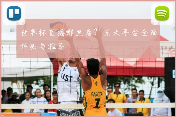 世界杯直播哪里看?五大平台全面评测与推荐