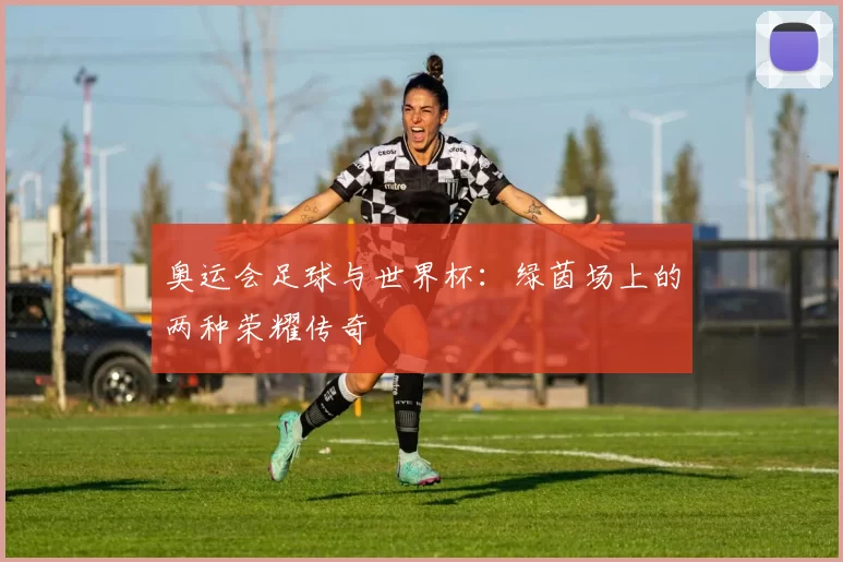 奥运会足球与世界杯:绿茵场上的两种荣耀传奇