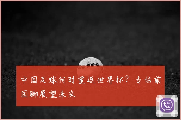 中国足球何时重返世界杯?专访前国脚展望未来