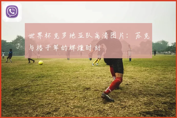 世界杯克罗地亚队高清图片:苏克与格子军的辉煌时刻