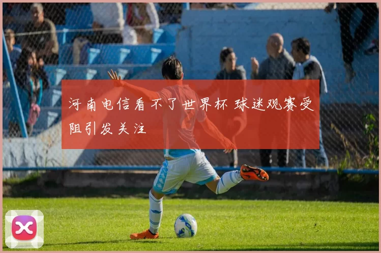 河南电信看不了世界杯 球迷观赛受阻引发关注