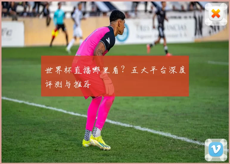 世界杯直播哪里看?五大平台深度评测与推荐