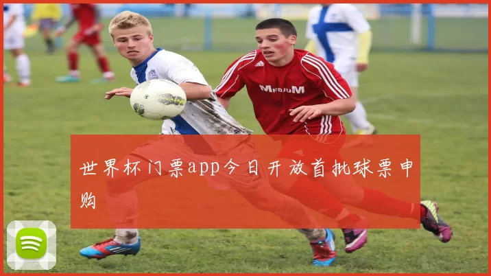 世界杯门票app今日开放首批球票申购
