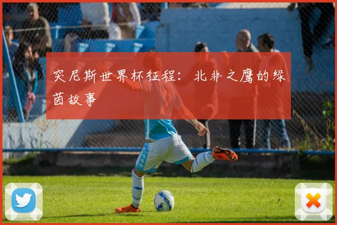 突尼斯世界杯征程:北非之鹰的绿茵故事