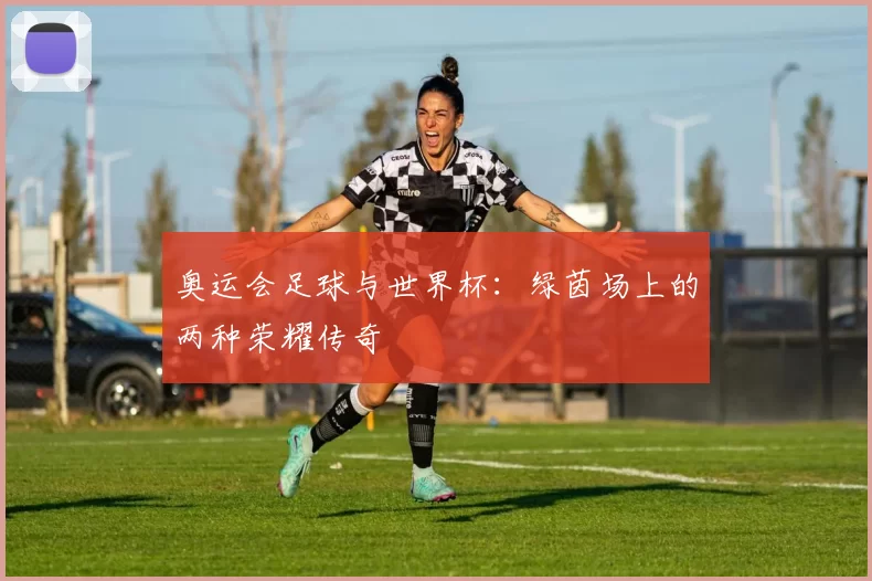 奥运会足球与世界杯:绿茵场上的两种荣耀传奇